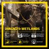 Dogtra 1900S Wetlands Boost & Lock Remote Dog Training E Collar