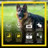 Dogtra ARC HANDSFREE Plus Boost and Lock, Remote Dog Training E Collar