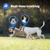 PetSafe Guardian GPS + Tracking Dog Fence Collar – Wireless Dog Fence with Real Time Tracking