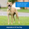 PetSafe Classic In Ground Fence Receiver Collar