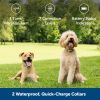 PetSafe Classic In Ground Fence for Dogs and Cats  Includes TWO Waterproof Collars