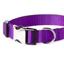 Pet Life 'Aero Mesh' 360 Degree Dual Sided Comfortable And Breathable Adjustable Mesh Dog Collar