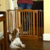 One Touch Gate II