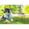 Prevue Pet Products 20 Foot Tie out Cable